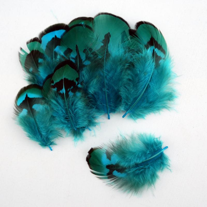 Natural DIY Pheasant Feathers  - Wedding Supply In Bulk 评论和价格