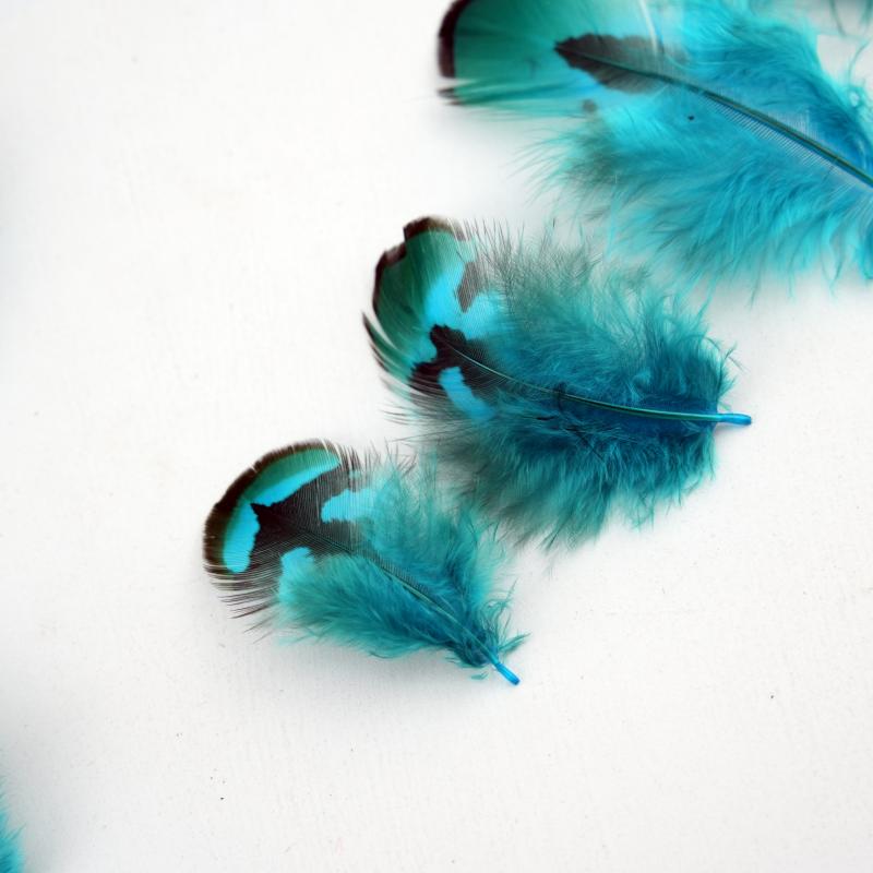 Natural DIY Pheasant Feathers  - Wedding Supply In Bulk 评论和价格