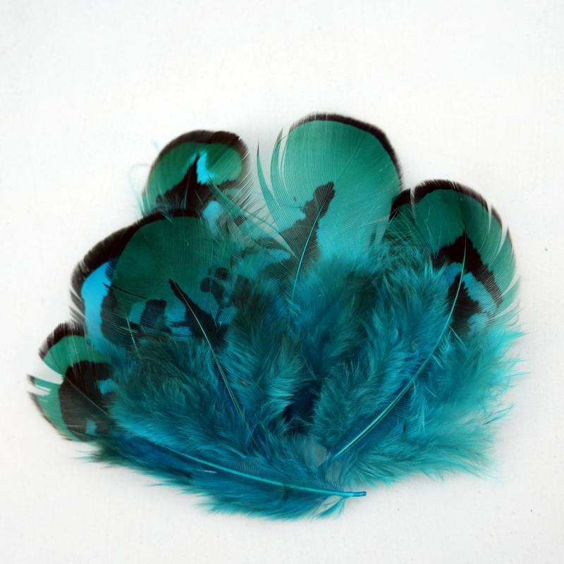 Natural DIY Pheasant Feathers  - Wedding Supply In Bulk 评论和价格