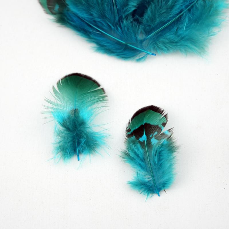 Natural DIY Pheasant Feathers  - Wedding Supply In Bulk 评论和价格