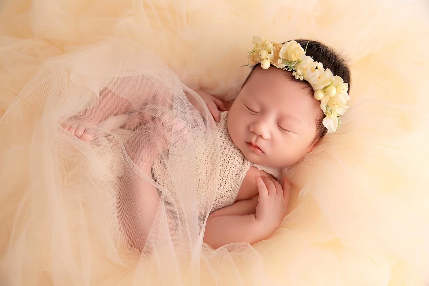 Newborn Photography Props Mesh - Photo Booth Prop 评论和价格
